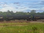 ETHX 100305